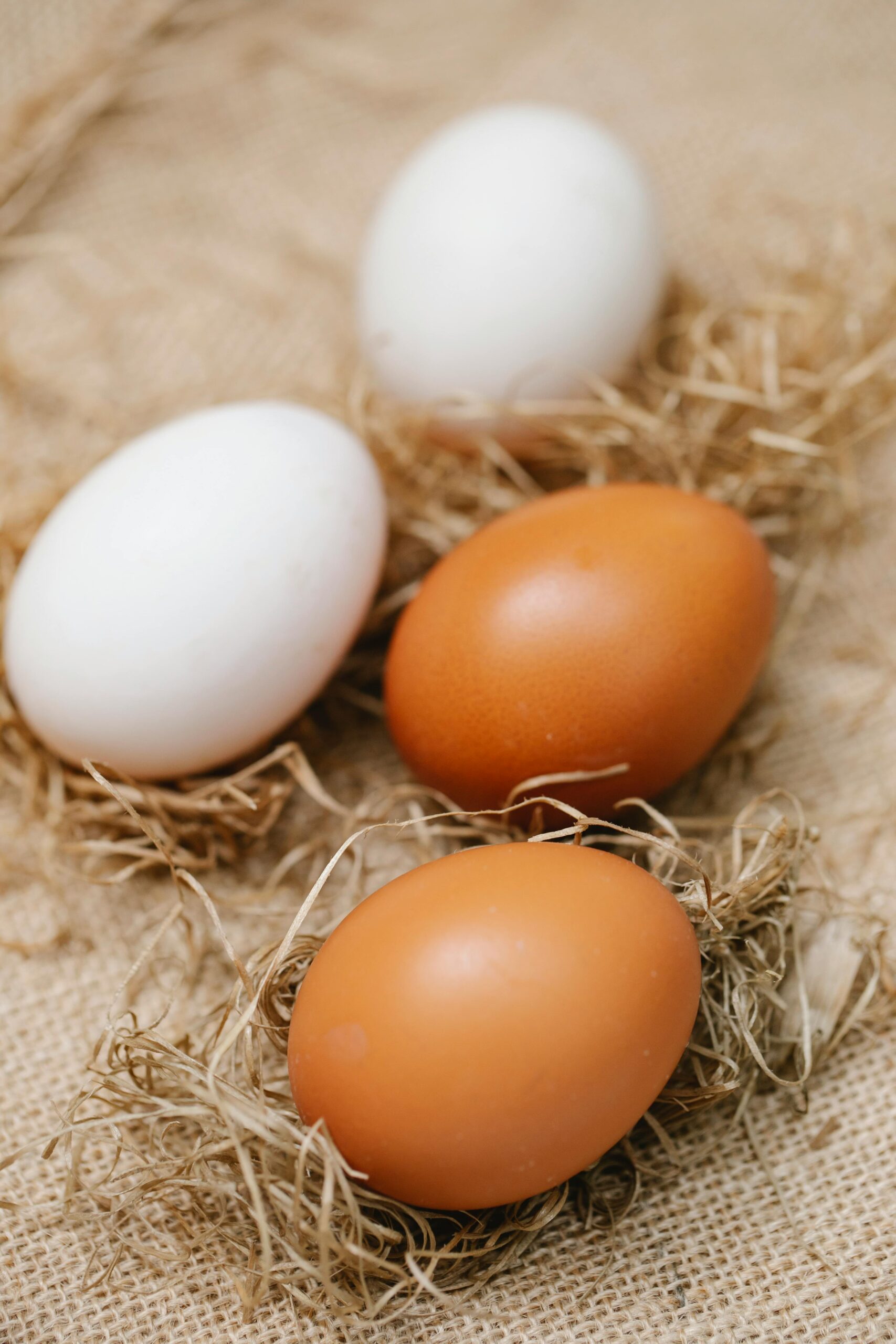 From above cracked eggs placed on straw above burlap fabric in chicken farm